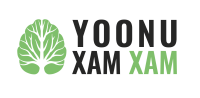Yoonu Xam Xam_Logo_sans_signature-04